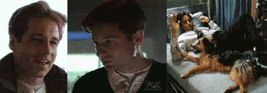 Mulder pics