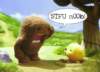 Photo Number 15